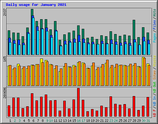 Daily usage for January 2021