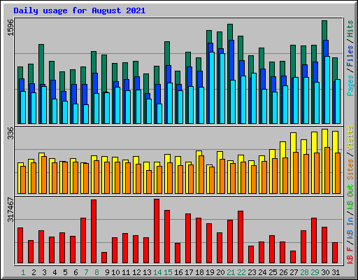 Daily usage for August 2021