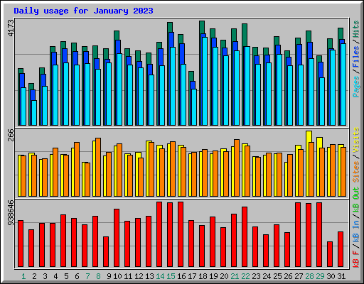 Daily usage for January 2023