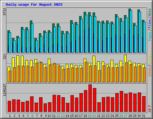 Daily usage for August 2023