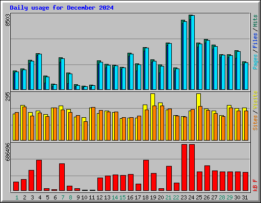 Daily usage for December 2024