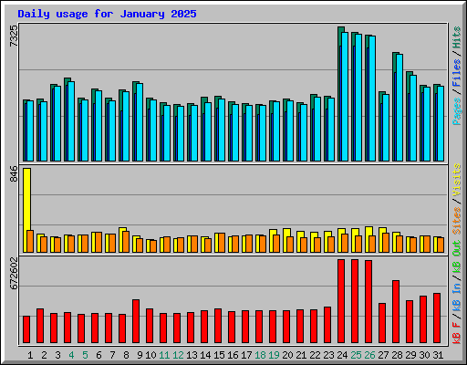 Daily usage for January 2025