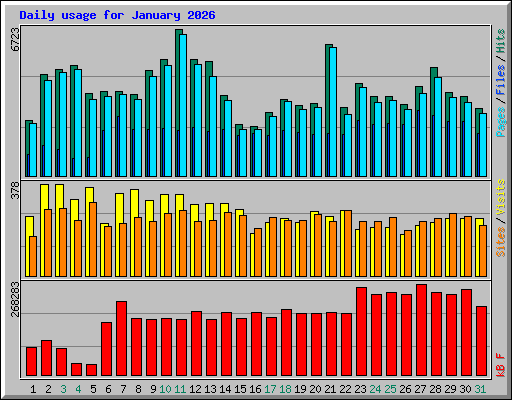 Daily usage for January 2026