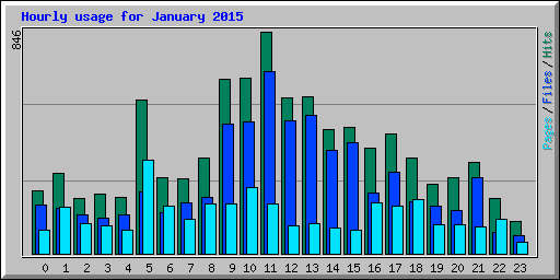 Hourly usage for January 2015