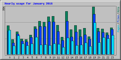 Hourly usage for January 2016
