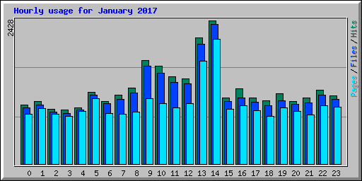 Hourly usage for January 2017