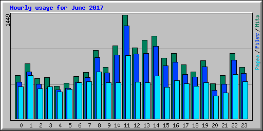 Hourly usage for June 2017
