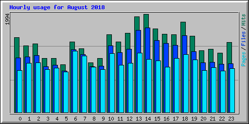 Hourly usage for August 2018