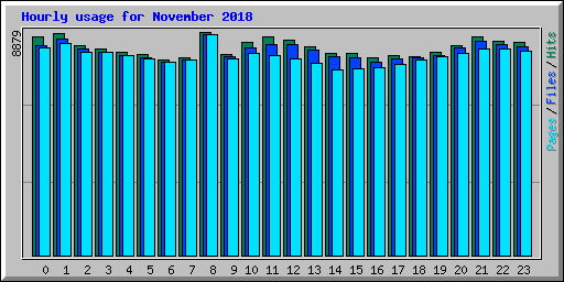Hourly usage for November 2018