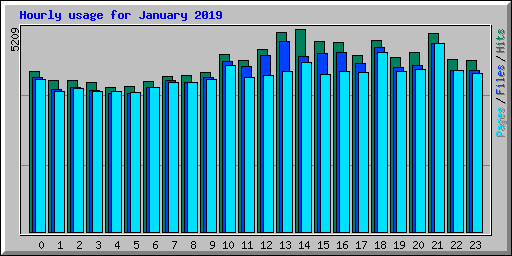 Hourly usage for January 2019