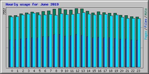 Hourly usage for June 2019