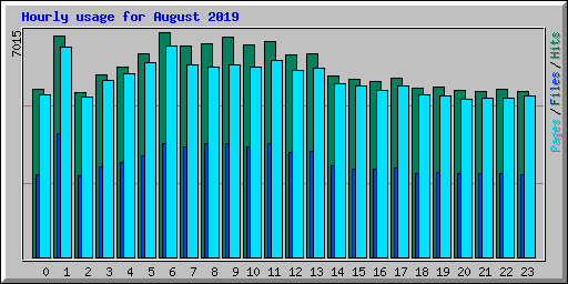 Hourly usage for August 2019