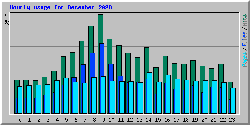 Hourly usage for December 2020