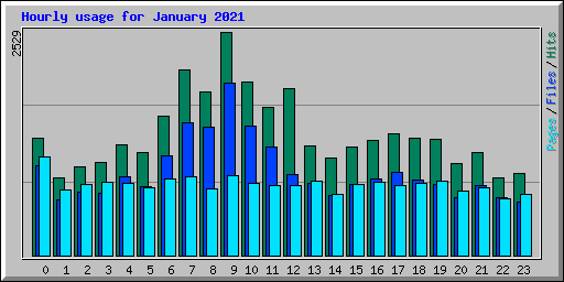 Hourly usage for January 2021