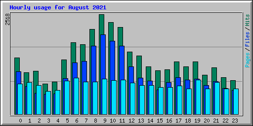 Hourly usage for August 2021