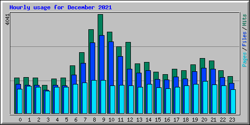 Hourly usage for December 2021