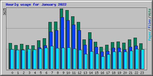 Hourly usage for January 2022