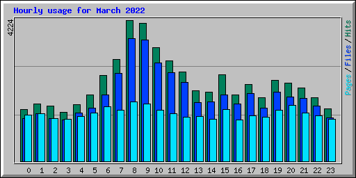 Hourly usage for March 2022