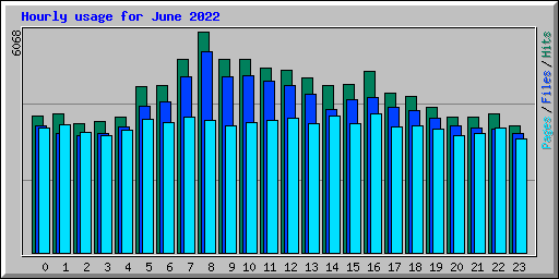 Hourly usage for June 2022