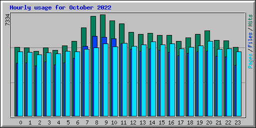 Hourly usage for October 2022