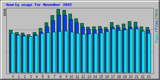 Hourly usage for November 2022