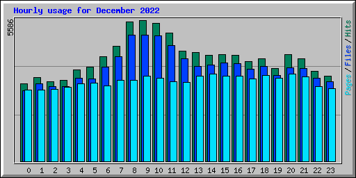 Hourly usage for December 2022