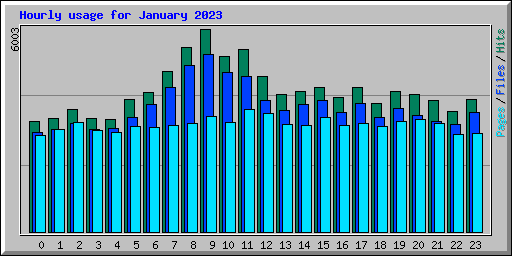 Hourly usage for January 2023