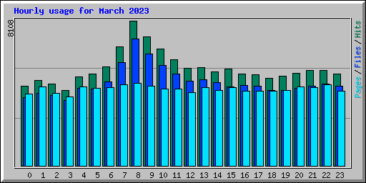 Hourly usage for March 2023