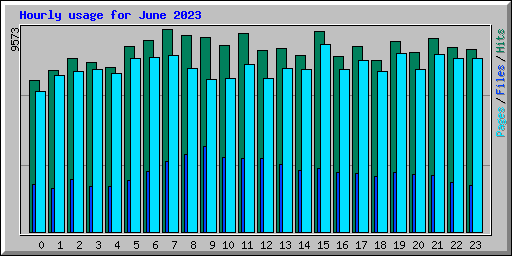 Hourly usage for June 2023