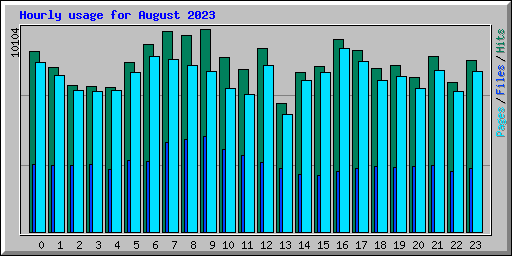 Hourly usage for August 2023