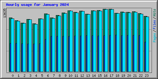 Hourly usage for January 2024