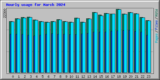 Hourly usage for March 2024