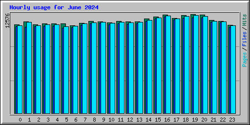 Hourly usage for June 2024