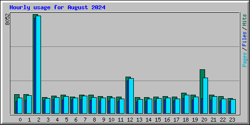 Hourly usage for August 2024