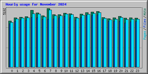 Hourly usage for November 2024