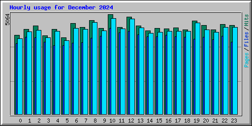 Hourly usage for December 2024