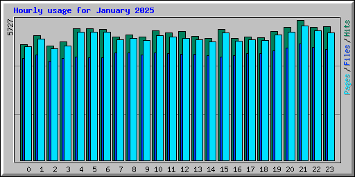 Hourly usage for January 2025