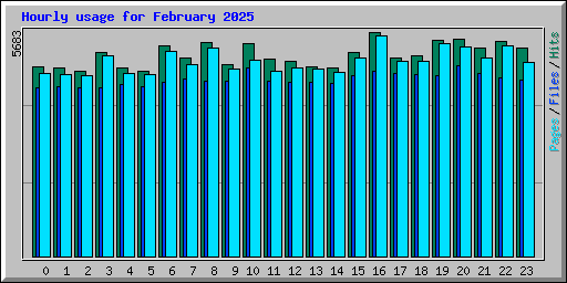 Hourly usage for February 2025