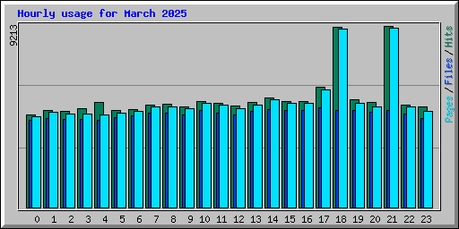 Hourly usage for March 2025