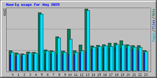 Hourly usage for May 2025