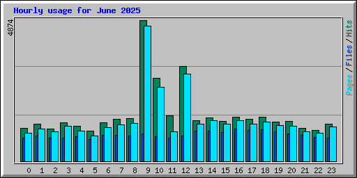 Hourly usage for June 2025