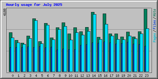 Hourly usage for July 2025