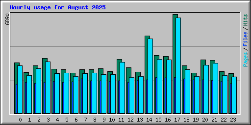 Hourly usage for August 2025