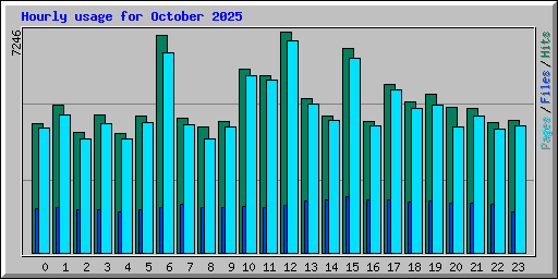 Hourly usage for October 2025