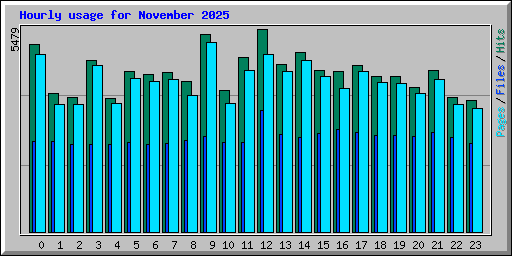Hourly usage for November 2025