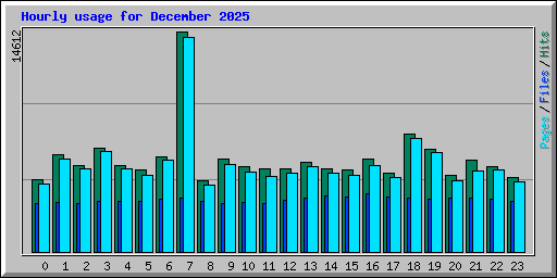 Hourly usage for December 2025