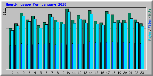 Hourly usage for January 2026