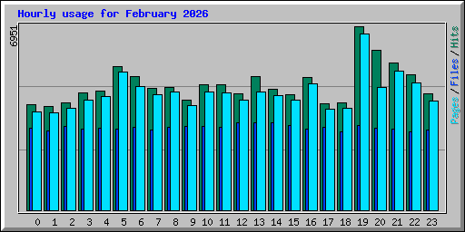 Hourly usage for February 2026