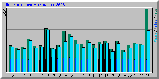 Hourly usage for March 2026