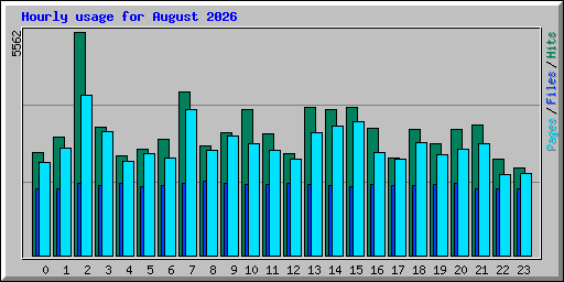 Hourly usage for August 2026